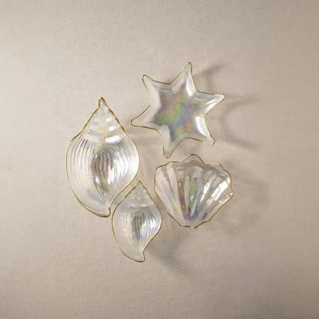 Fecra Deniz 4 Parça Cam Sunum Seti resmi